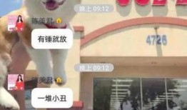 小姐姐最新爆料图片