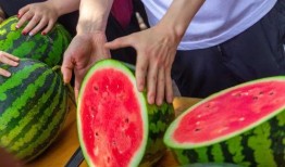 新人免费0元吃瓜,新人专享的吃瓜盛宴！