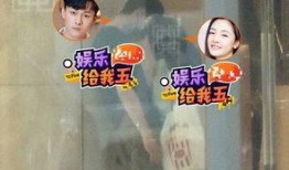 小花爆料解说大全视频,揭秘热门视频背后的精彩故事