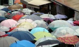 重庆网友爆料雨伞视频下载,揭秘城市雨中风情
