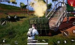 雨林爆料第二集视频播放,揭秘热带雨林的神秘面纱