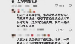 樊小慧爆料内容视频播放,真相与争议并存