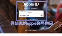 国际服爆料在哪看视频软件,视频软件生成攻略一览