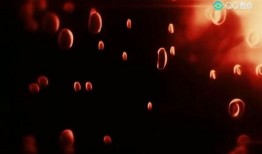 美国最新爆料病毒爆发,真相与阴谋交织”