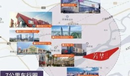 雷州头条大爆料新闻视频,揭秘新闻背后的惊人真相！