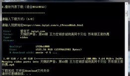 真实网络爆料视频大全下载,视频大全背后的真实故事