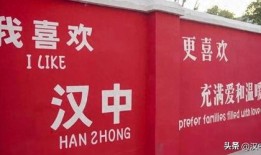 汉中头条爆料最新,惊曝重大事件，揭秘背后惊人真相！