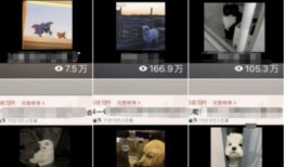 爆料计划怎么做的视频教程,轻松制作高质量爆料视频