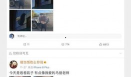 奇闻爆料解说视频下载,探寻未知世界的神秘面纱