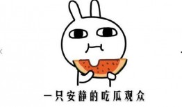 吃瓜网红打起来,一场网络狂欢的幕后真相