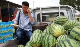 青海藏族网红吃瓜,揭秘高原生活趣味瞬间