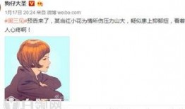 小花爆料解说大全视频,揭秘热门视频背后的精彩故事